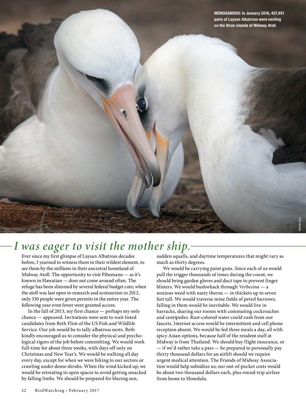 BirdWatching Preview Pages