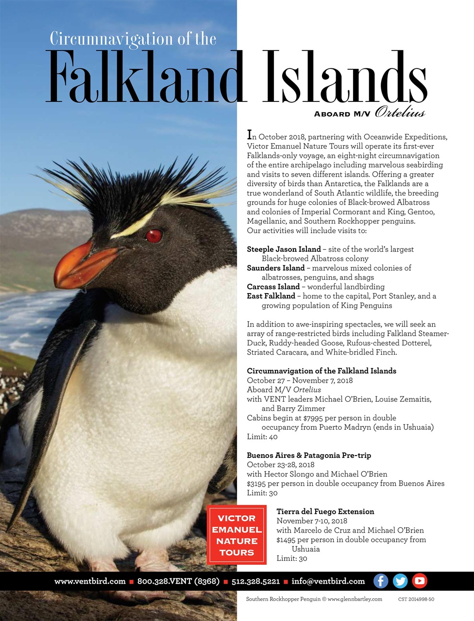 BirdWatching Preview Pages