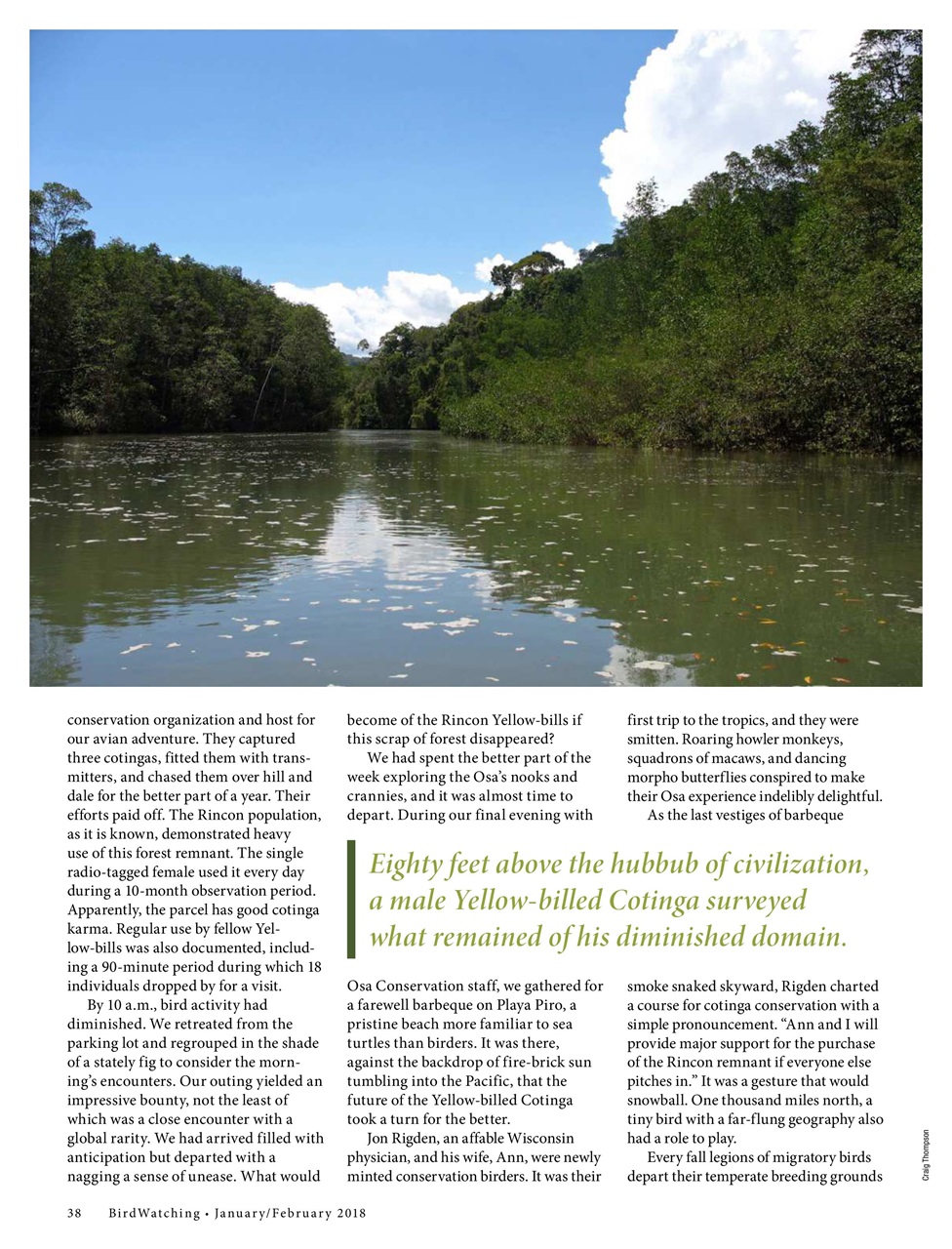 BirdWatching Preview Pages