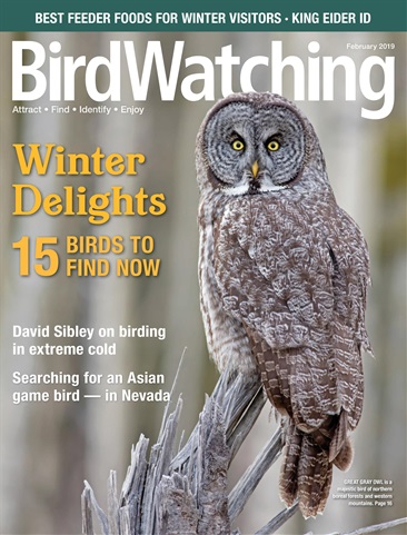 BirdWatching issue Jan/ Feb 2019
