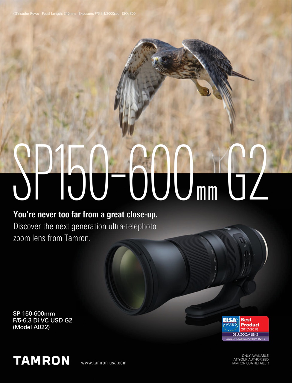 BirdWatching Preview Pages