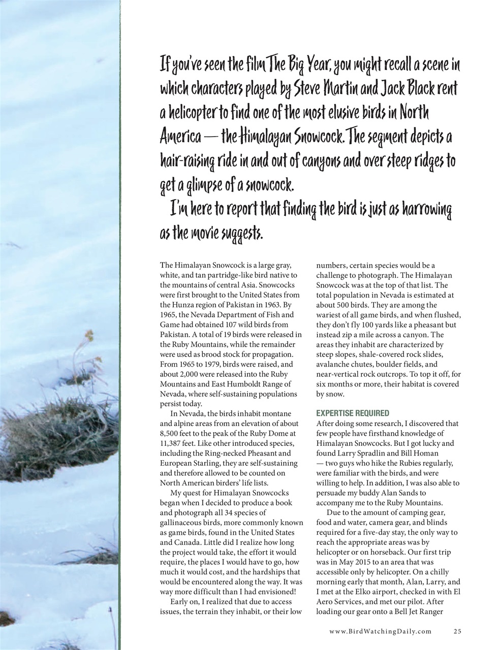 BirdWatching Preview Pages