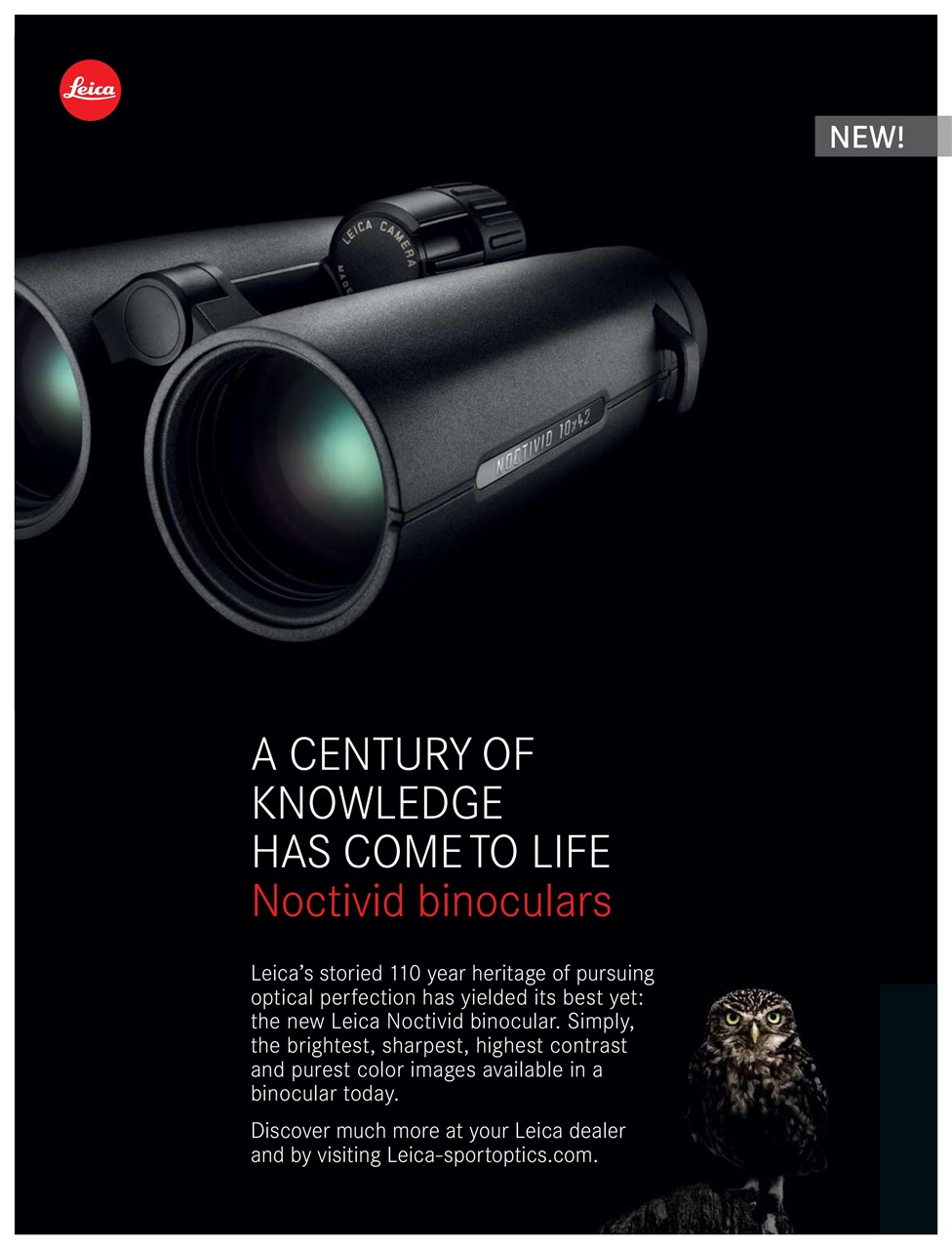 BirdWatching Preview Pages