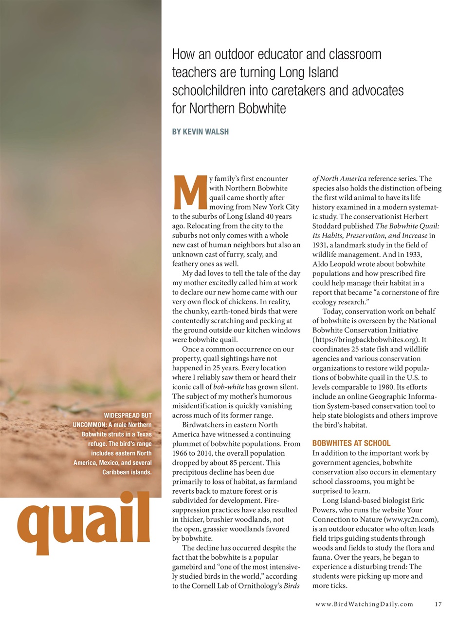 BirdWatching Preview Pages