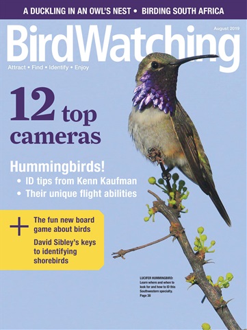 BirdWatching issue Jul/Aug 2019