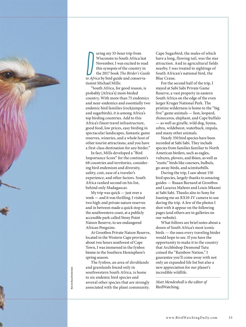 BirdWatching Preview Pages
