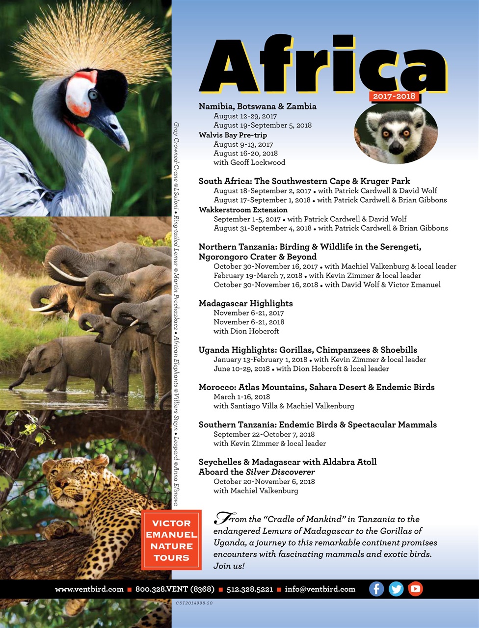 BirdWatching Preview Pages