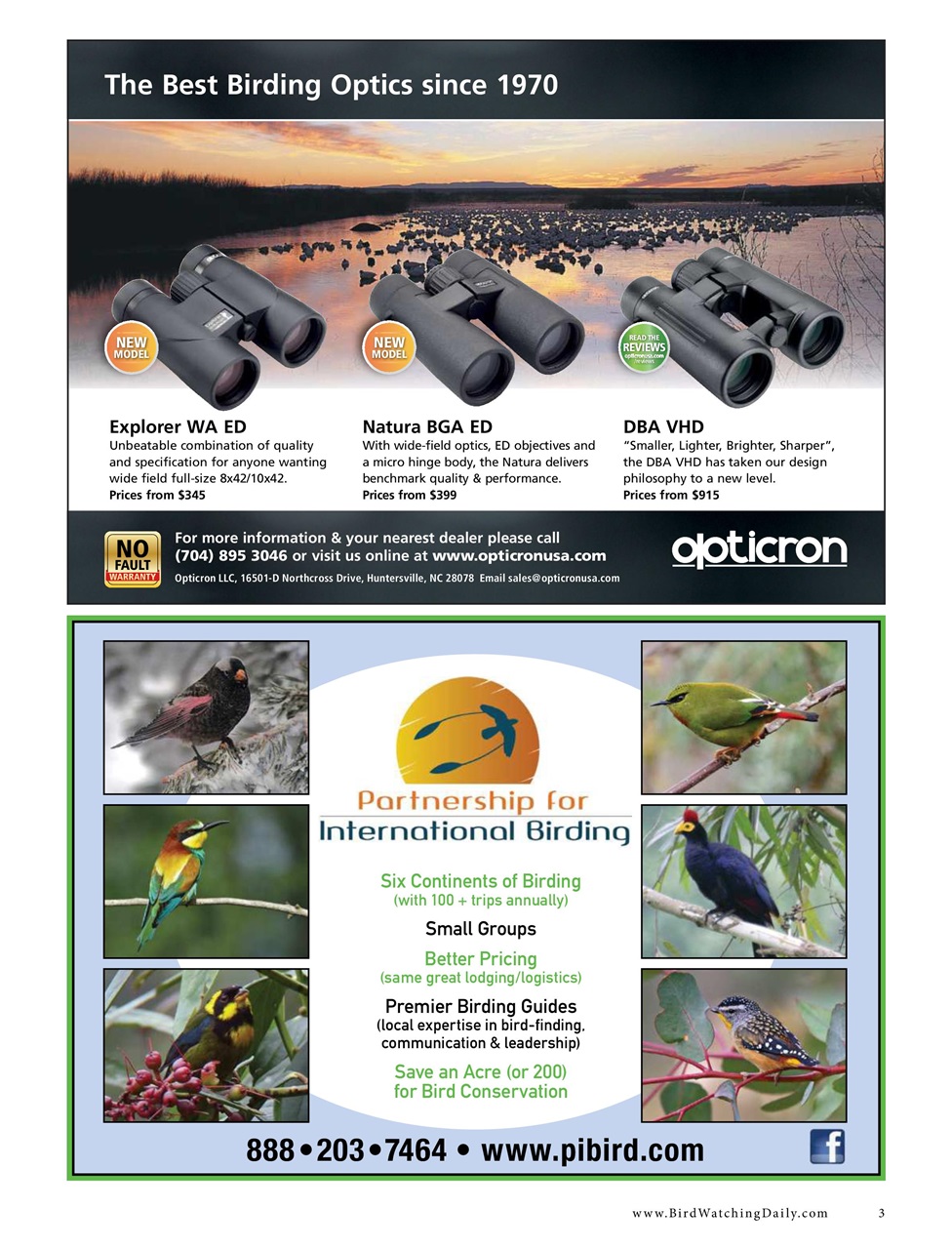 BirdWatching Preview Pages