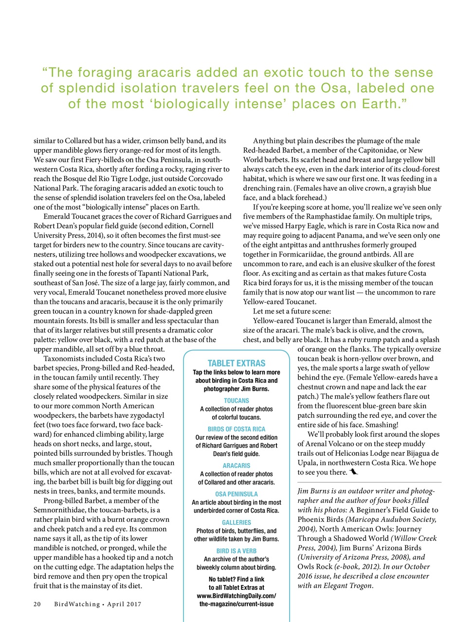 BirdWatching Preview Pages