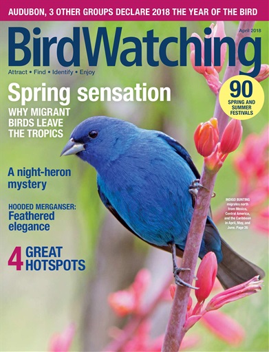 BirdWatching issue 