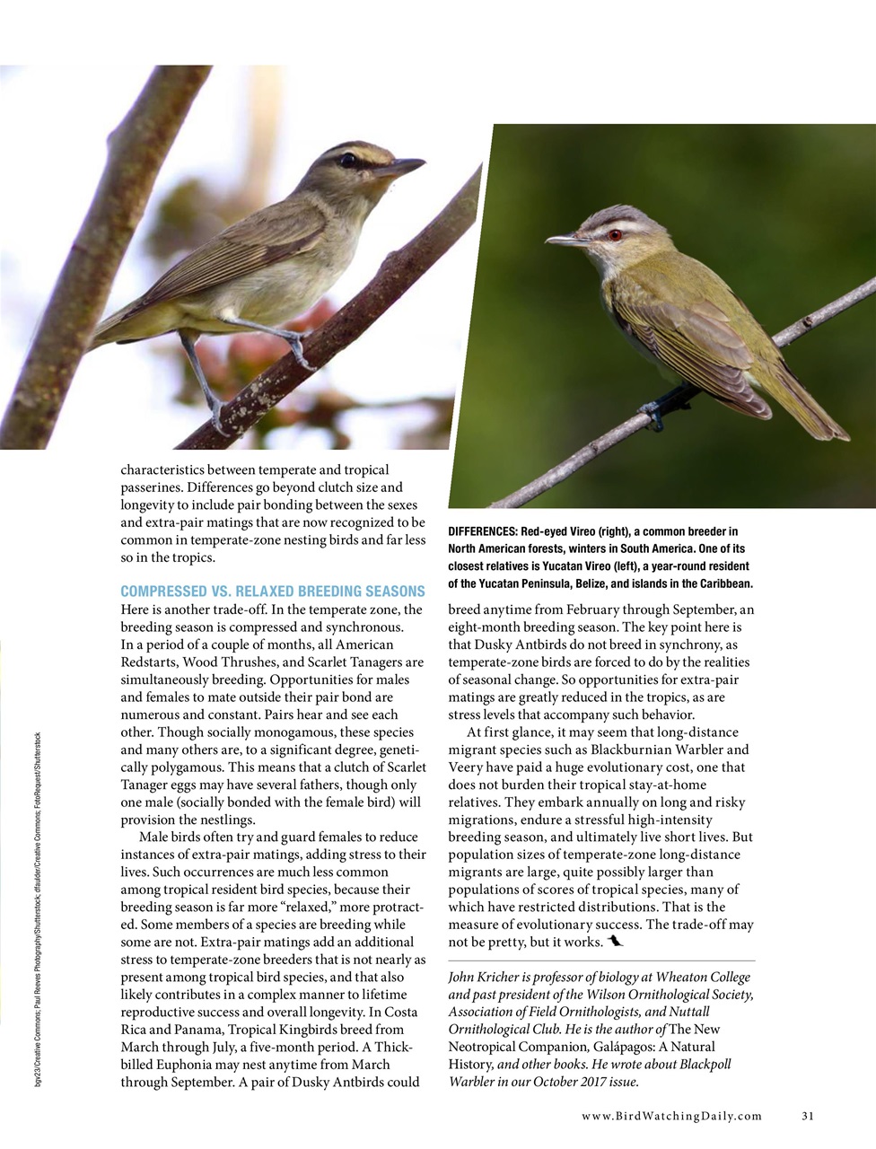 BirdWatching Preview Pages