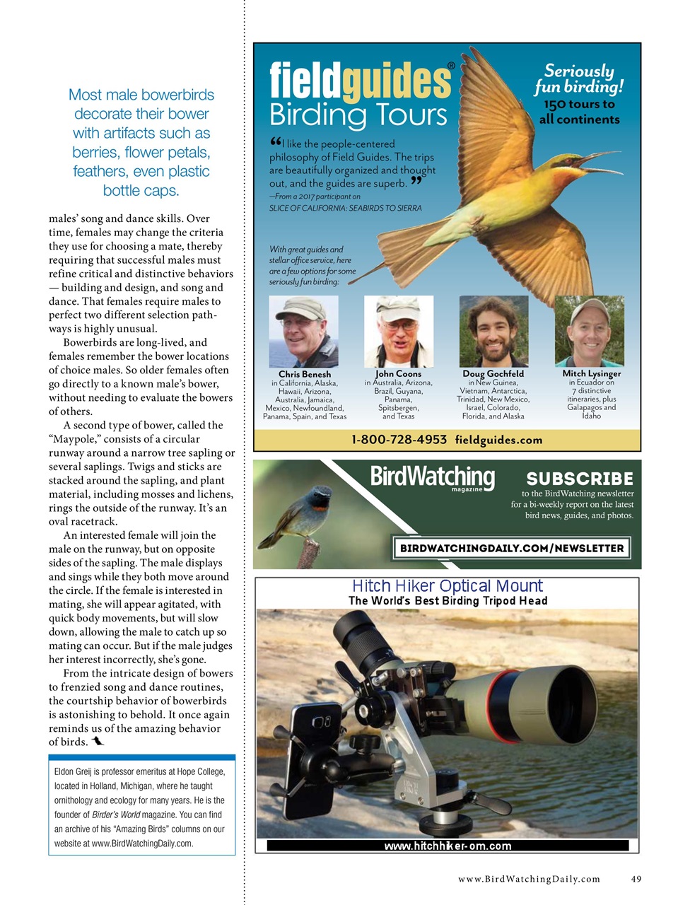 BirdWatching Preview Pages