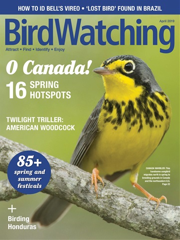 BirdWatching issue Mar/Apr 2019
