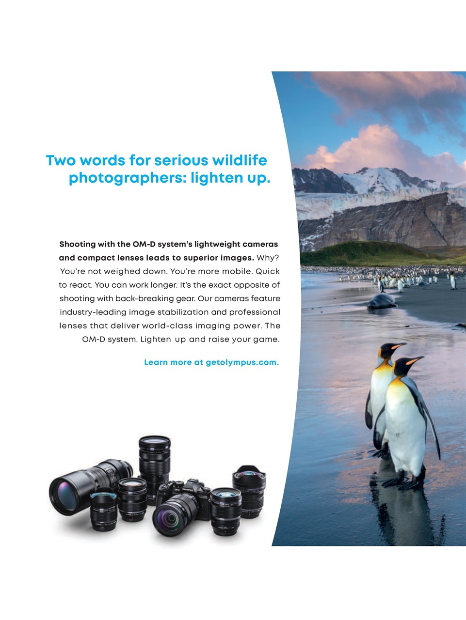 BirdWatching Preview Pages