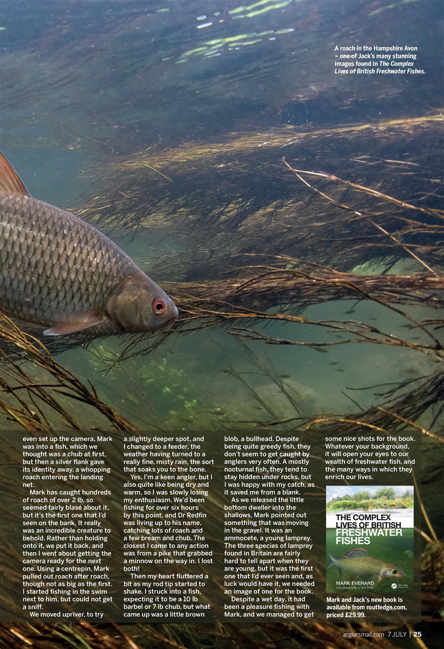 Anglers Mail Preview Pages
