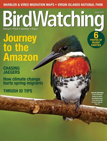 BirdWatching issue May/ Jun 2017