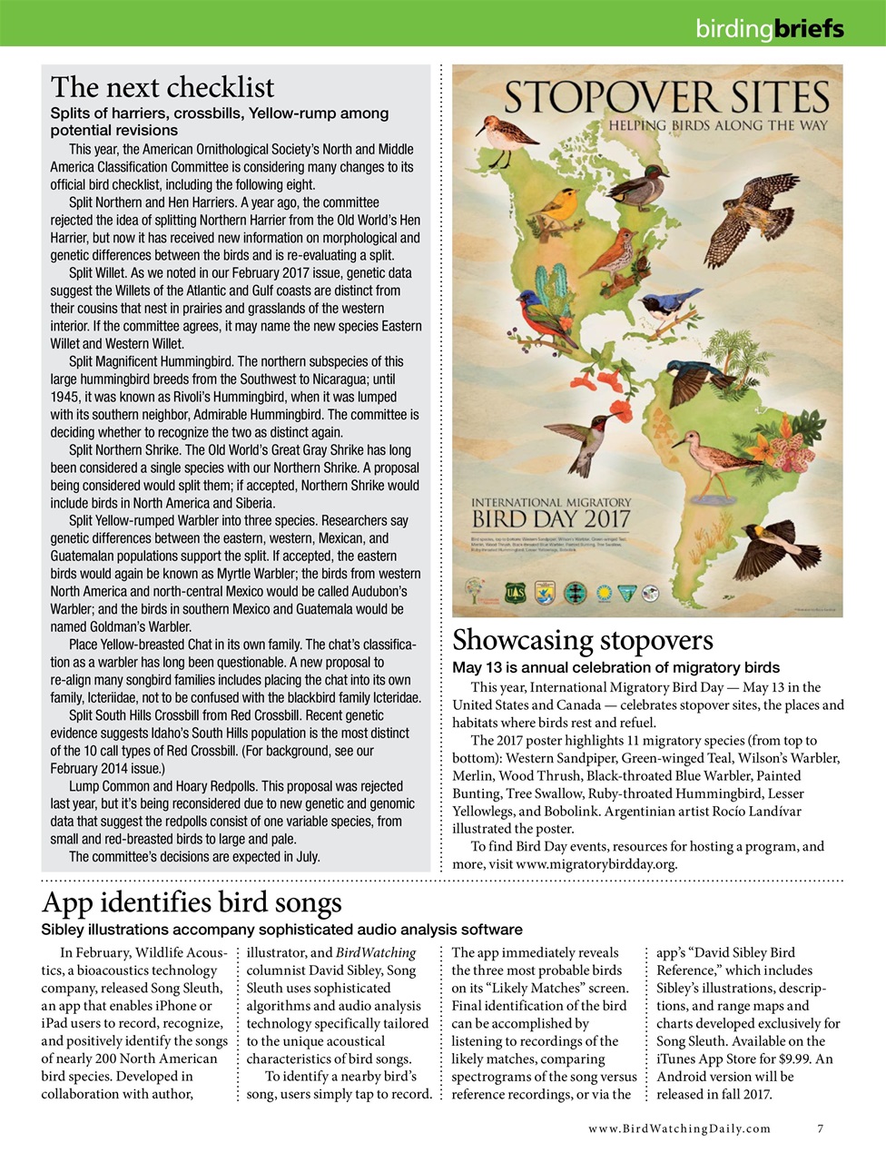 BirdWatching Preview Pages