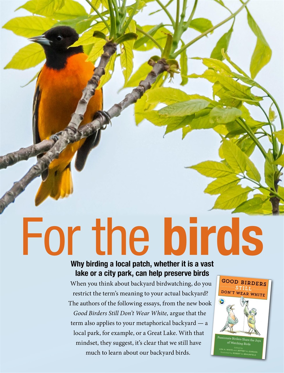 BirdWatching Preview Pages