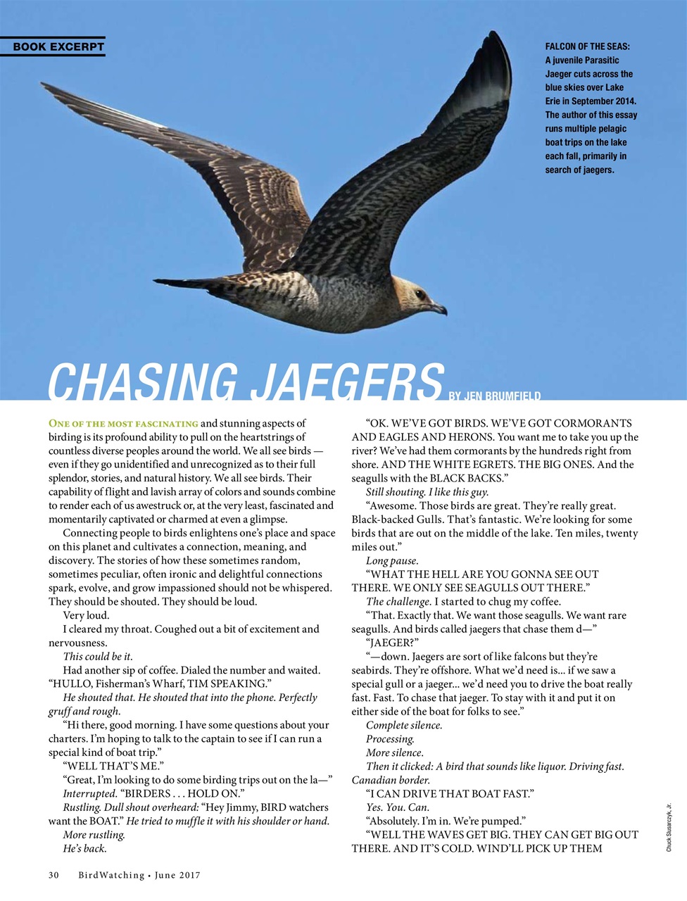 BirdWatching Preview Pages