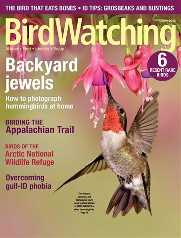 BirdWatching issue May/ Jun 2018