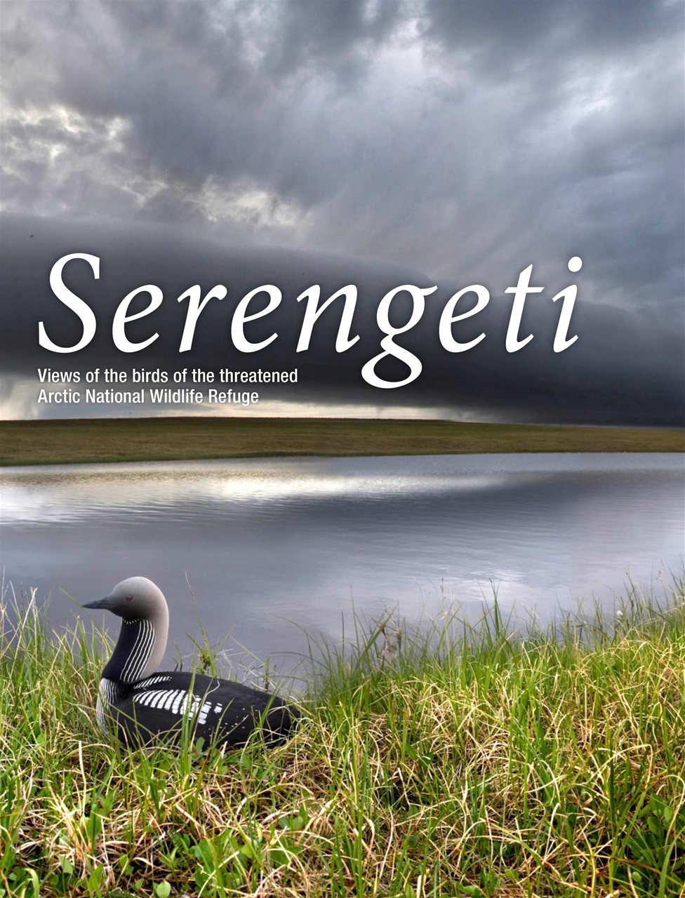 BirdWatching Preview Pages