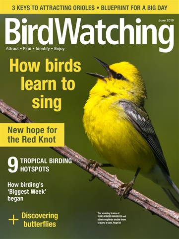 BirdWatching issue May/Jun 2019