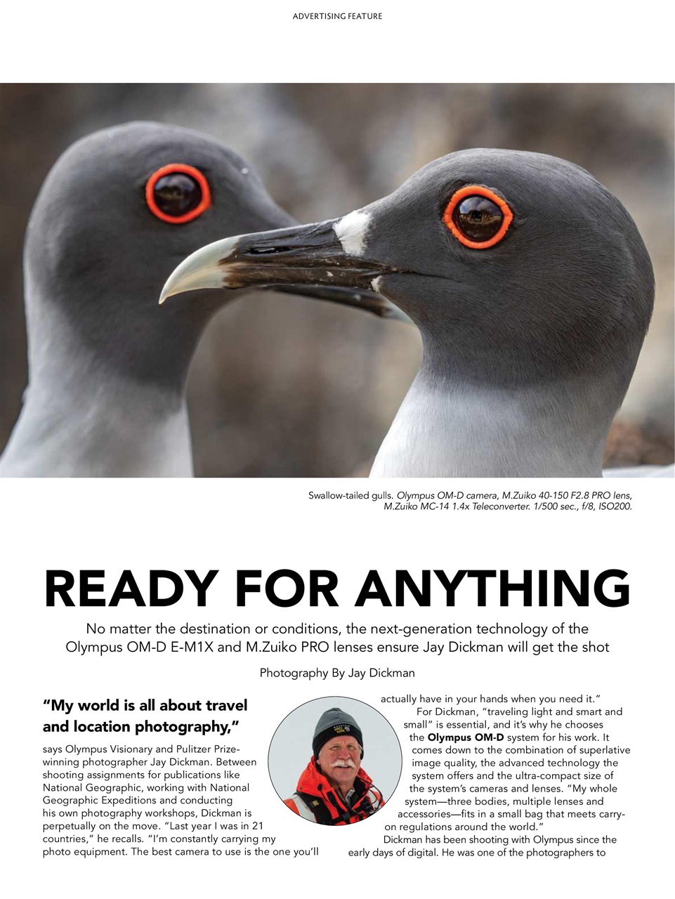 BirdWatching Preview Pages