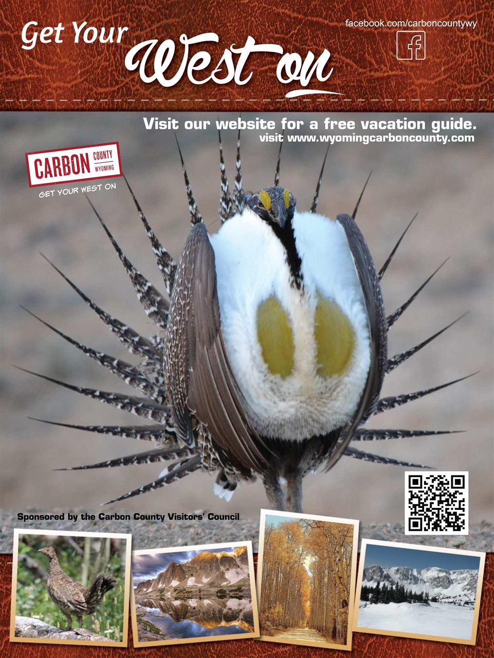 BirdWatching Preview Pages