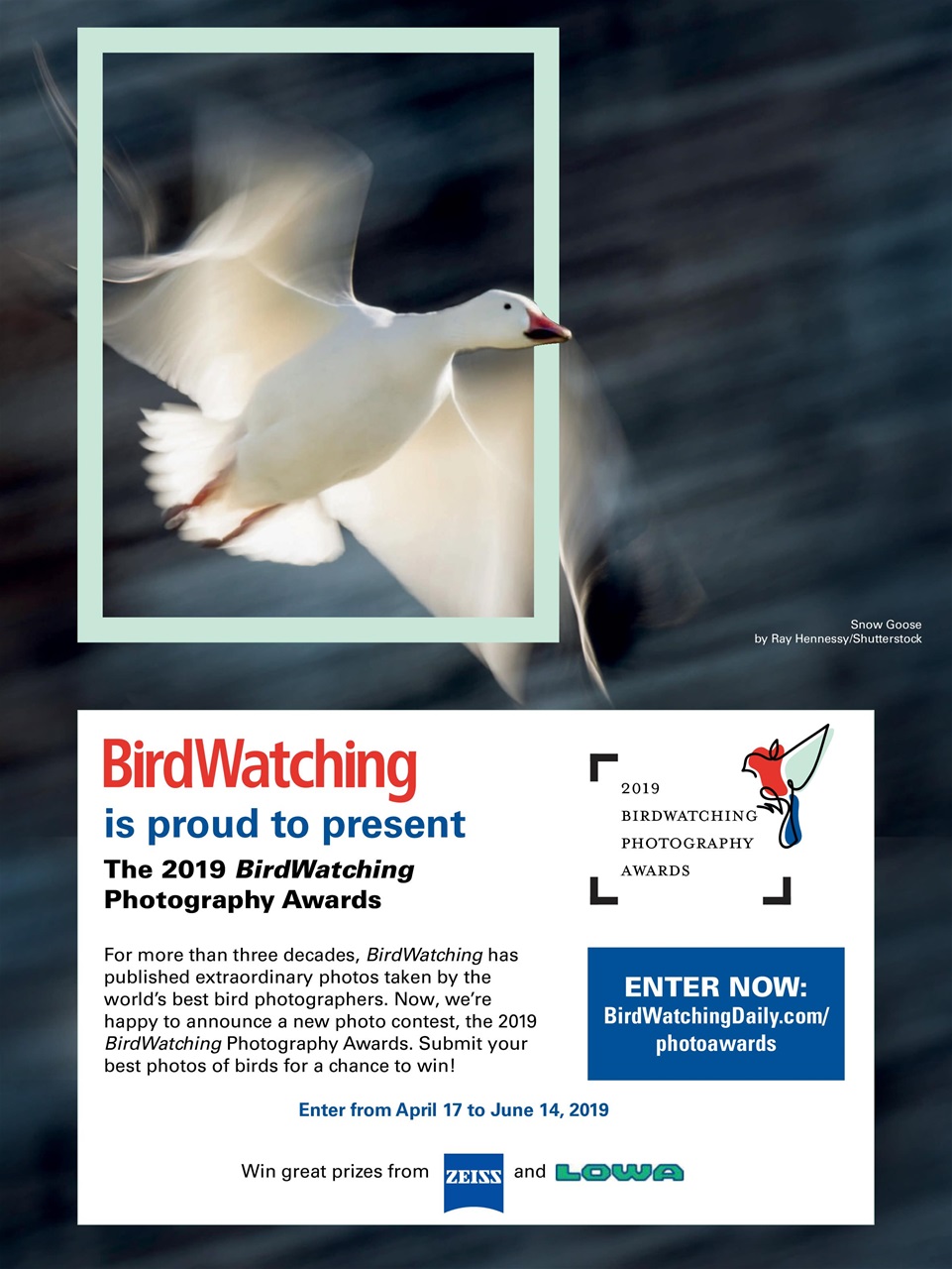 BirdWatching Preview Pages