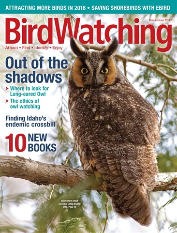 BirdWatching issue Nov/ Dec 2017