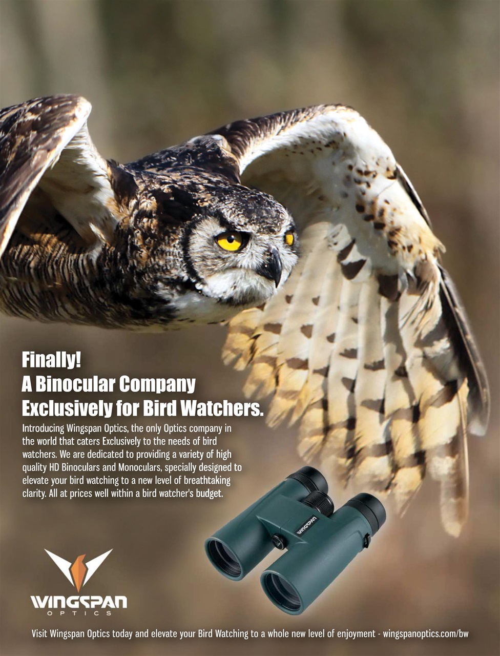 BirdWatching Preview Pages