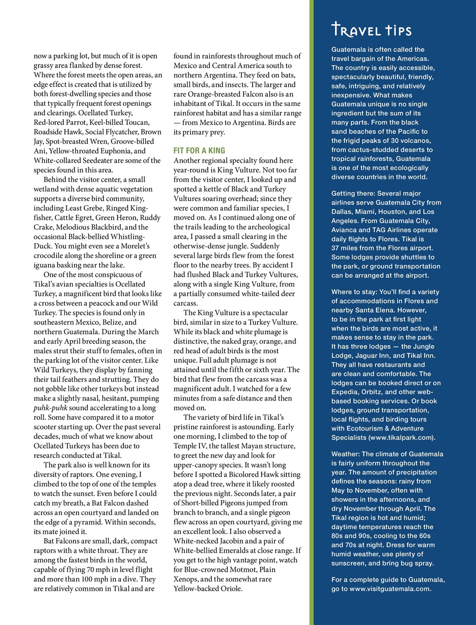 BirdWatching Preview Pages