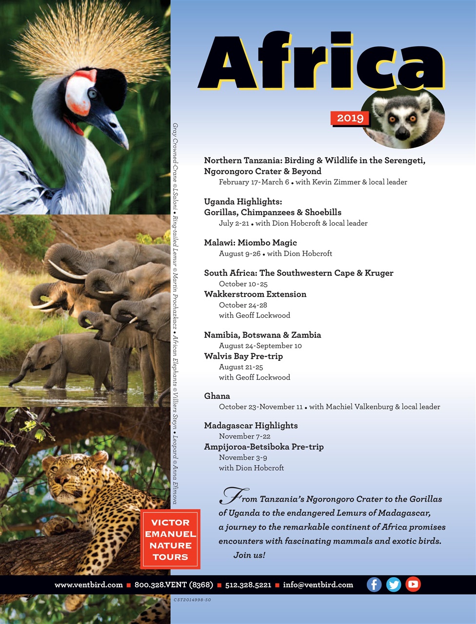 BirdWatching Preview Pages