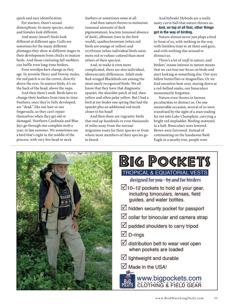 BirdWatching Preview Pages