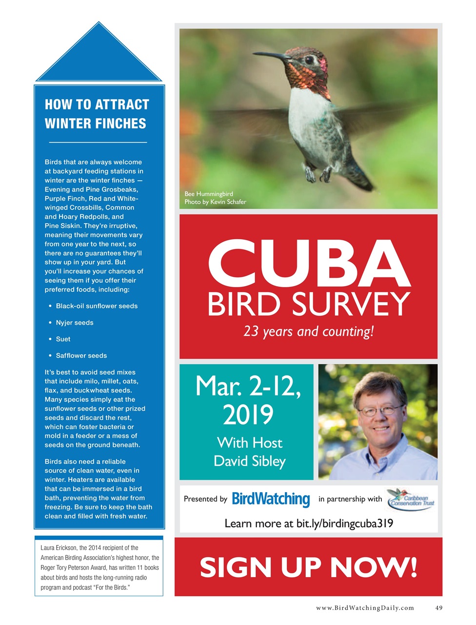 BirdWatching Preview Pages