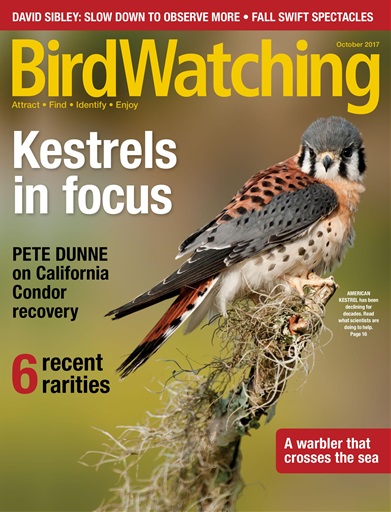 BirdWatching issue 