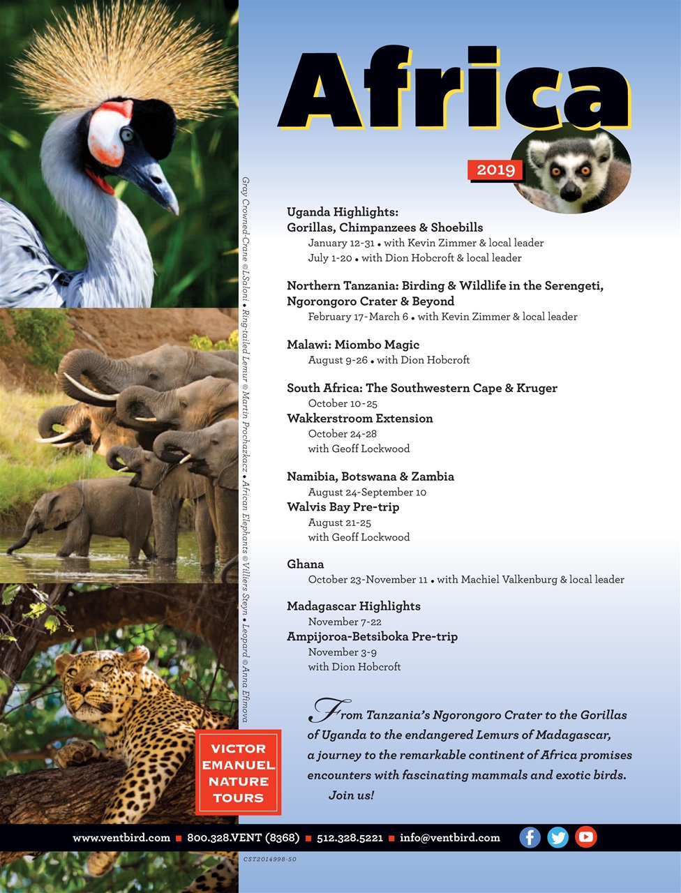 BirdWatching Preview Pages