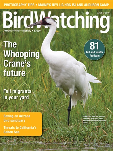 BirdWatching issue Sep/Oct 2019