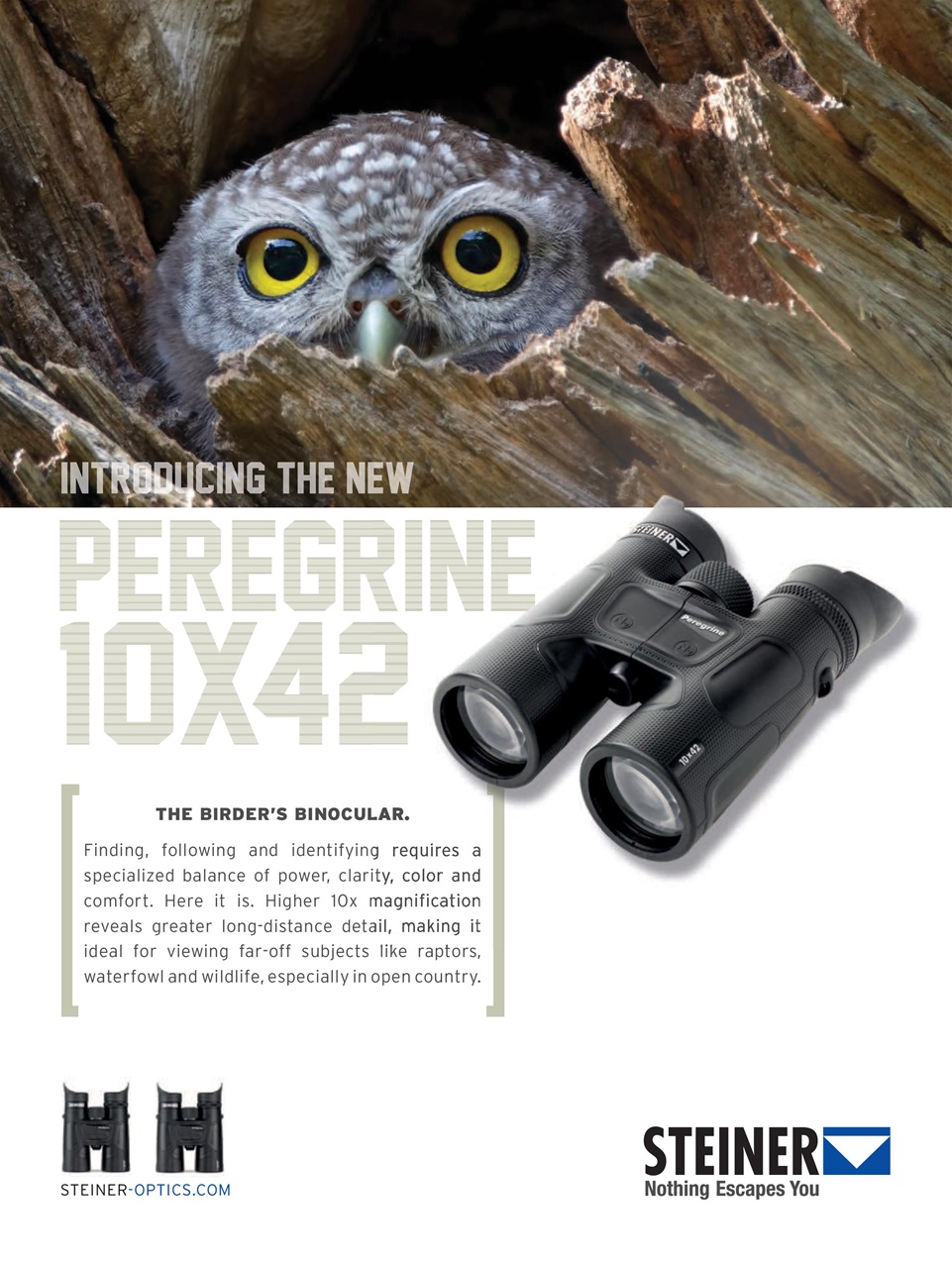 BirdWatching Preview Pages