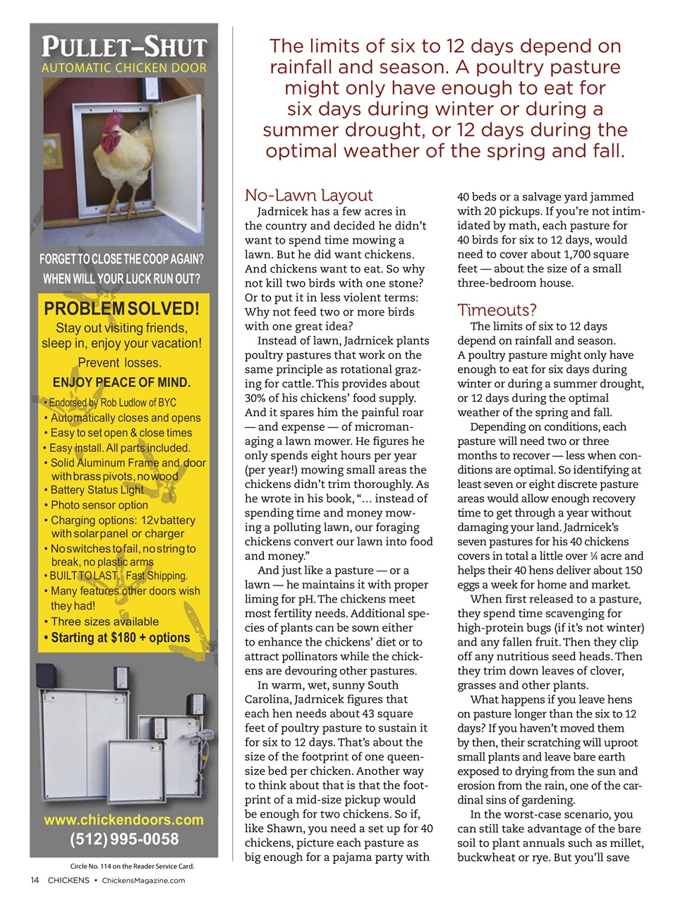 Chickens Magazine Preview Pages