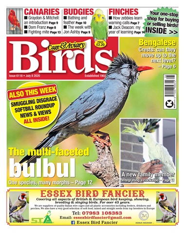 Cage & Aviary Birds issue 08/07/2020