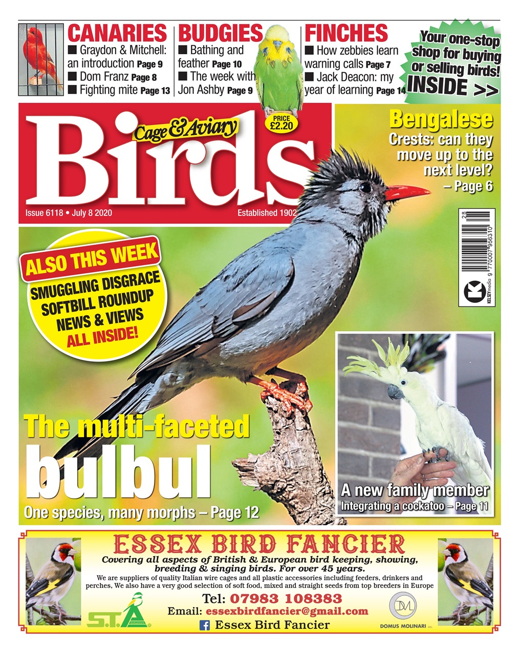 Cage & Aviary Birds Preview Pages