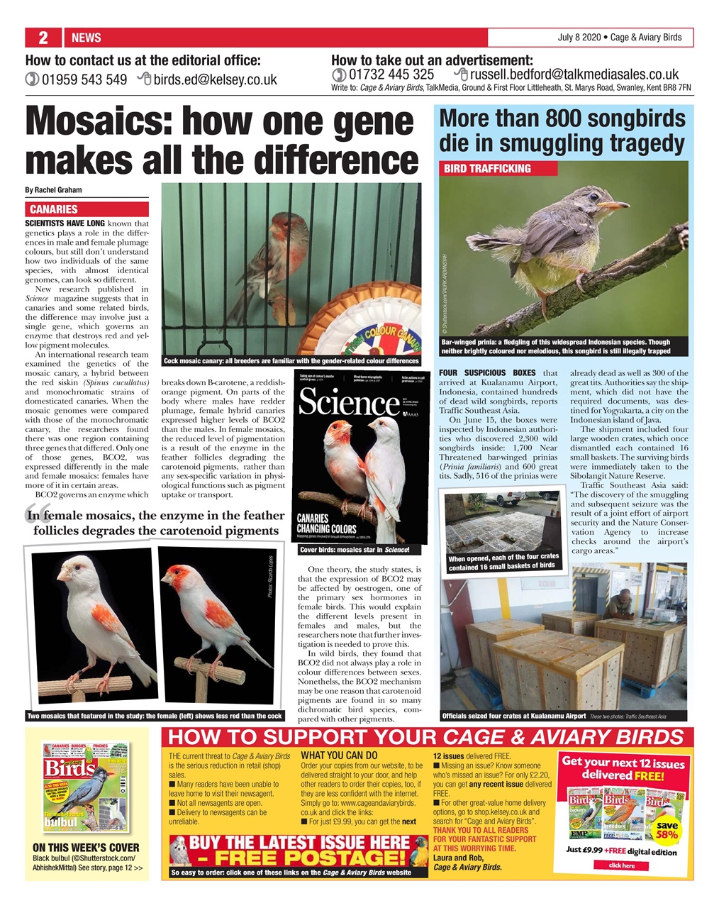 Cage & Aviary Birds Preview Pages