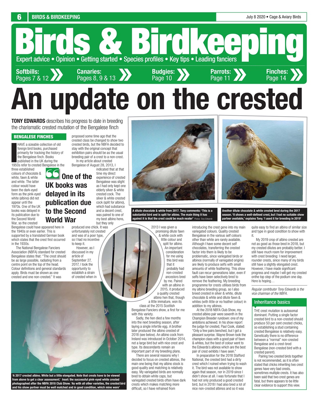 Cage & Aviary Birds Preview Pages