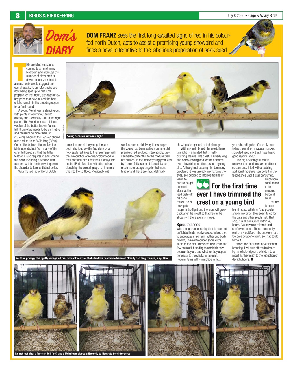 Cage & Aviary Birds Preview Pages