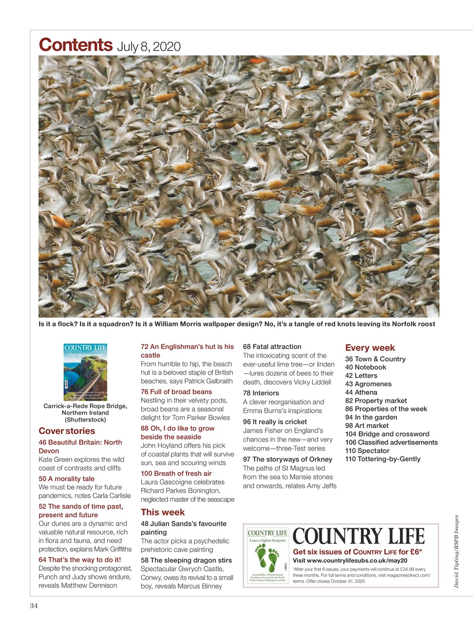 Country Life Preview Pages