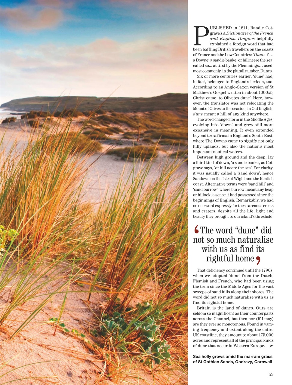 Country Life Preview Pages