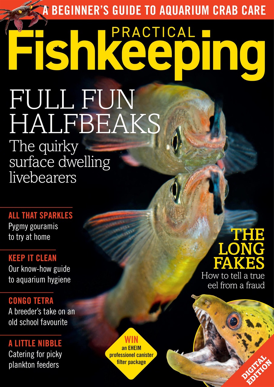 Practical Fishkeeping Preview Pages