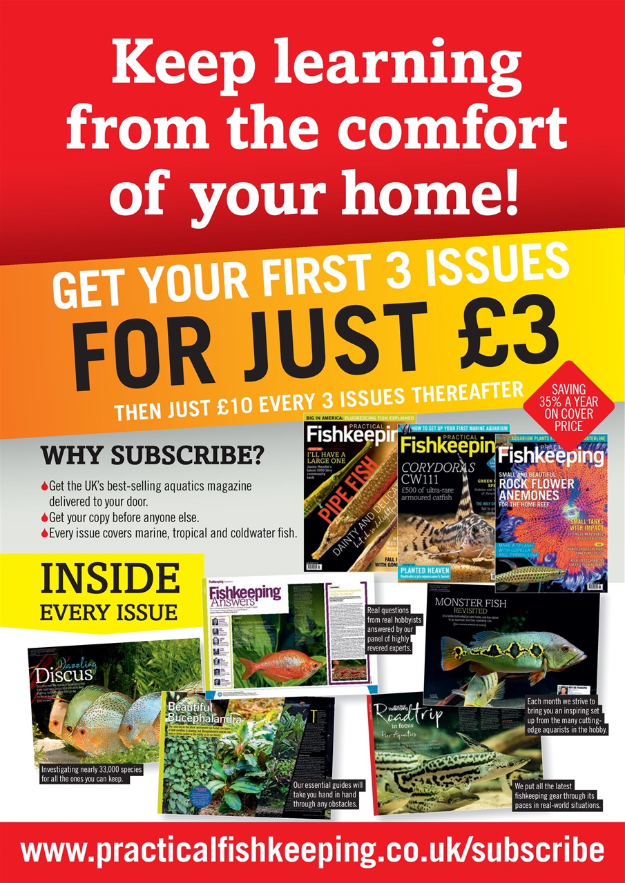 Practical Fishkeeping Preview Pages