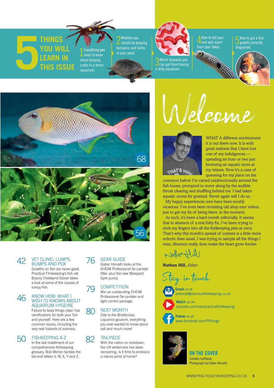 Practical Fishkeeping Preview Pages